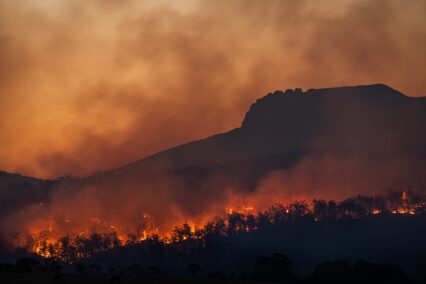 Burning trees silhouetted against a red cloudy sky